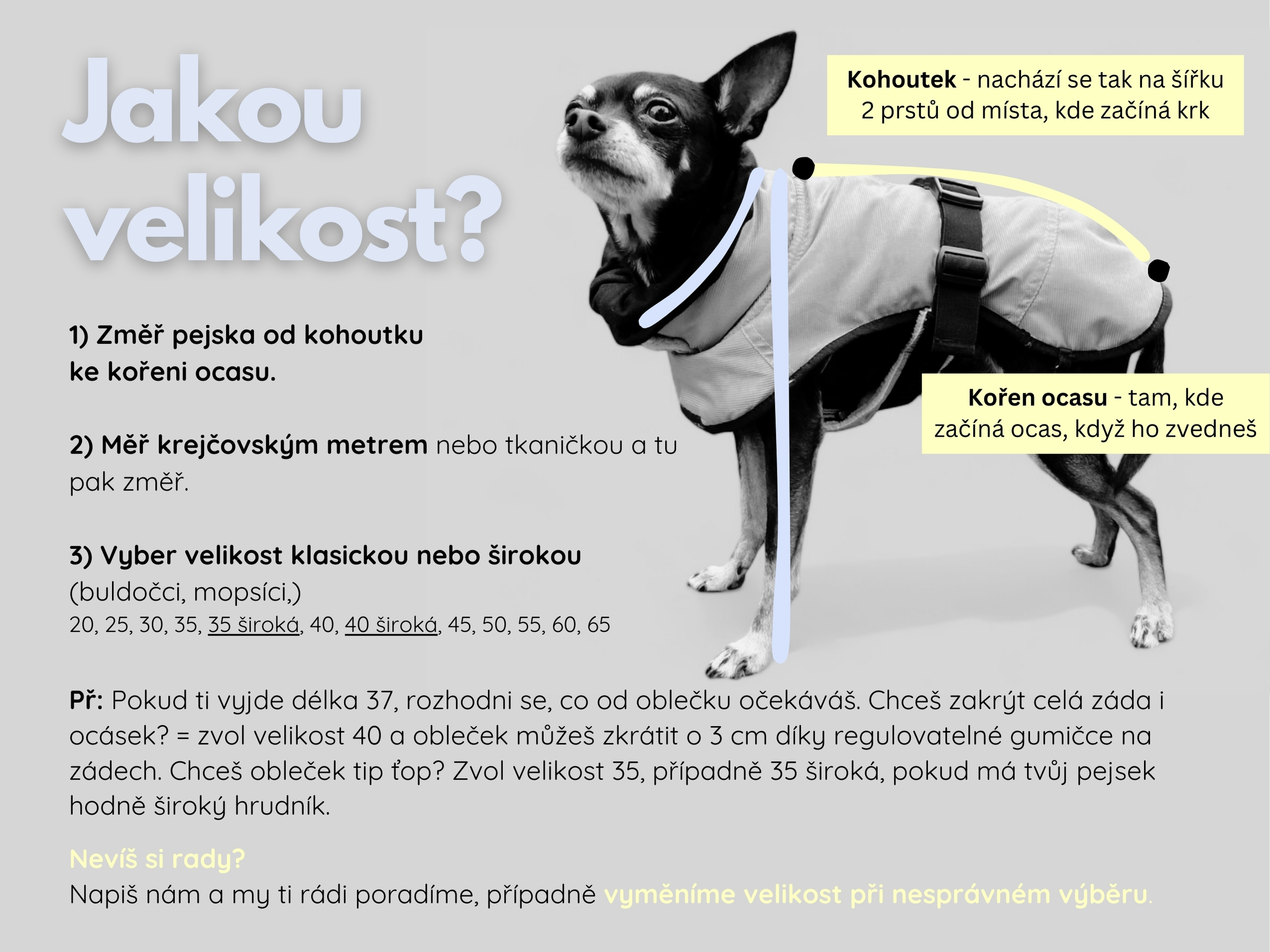 Měření psa